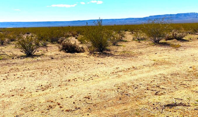 Own Your Very Own Desert Oasis 1.13 Acres in Mohave County