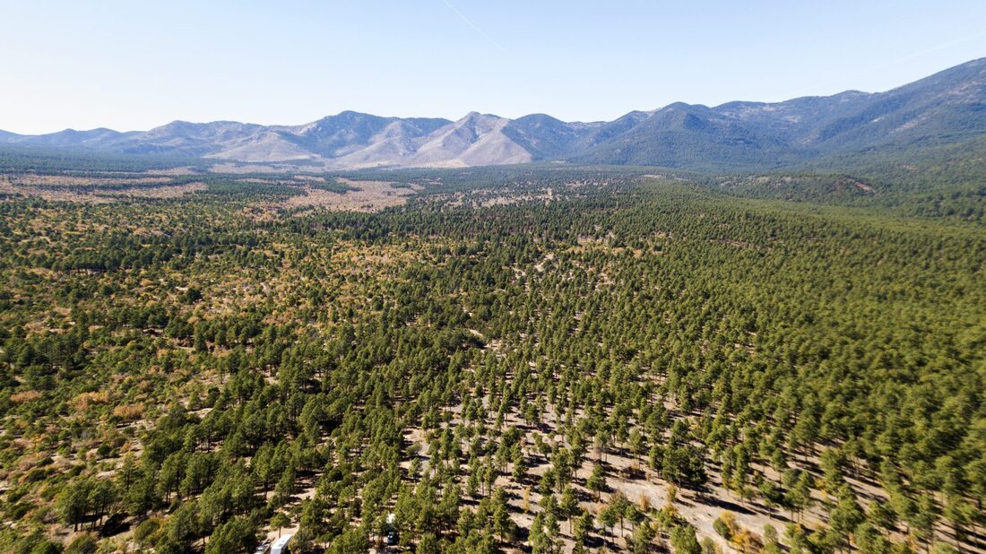 Manzano Mountains State Park 