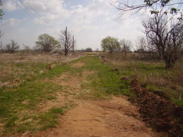 Texas, Hardeman County, 0.32 Acre Chillicothe Town