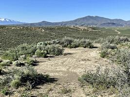 Explore 1.03 Ac of Untamed Wilderness in Elko, NV! - $150/Mo