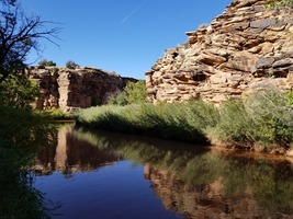 Hunting Property in Arizona's White Mountains - Silver Creek