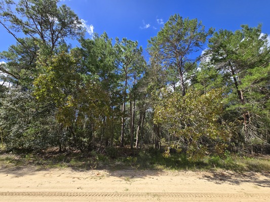 Rural .22-Acre Lot in Interlachen Lake Estates – Own for $199 down!