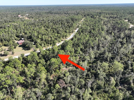 $299/mo: Jackson, FL 1.2 acres with POWER POLE on street