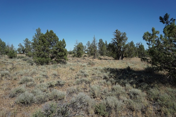 Rare 1.46-Acre Off-Grid Parcel on Lower Plateau!