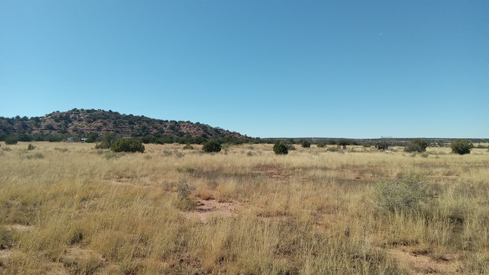 Cabin-ready mountain land for sale in Snowflake, AZ