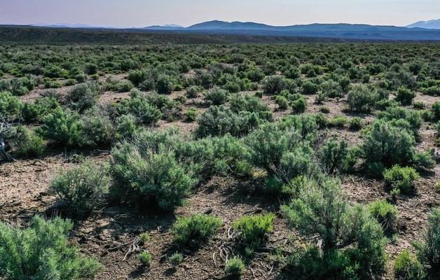 2 Acres of Peace and Quiet in Elko, NV with $150 Down!