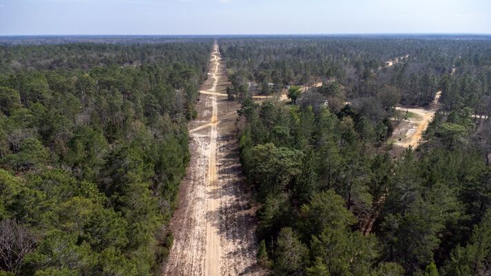 The Ultimate Hide Out in the Trees- 0.20 Acre in Putnam, FL!