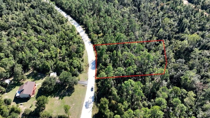 $299/mo: Jackson, FL 1.2 acres with POWER POLE on street