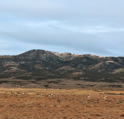 10.76 Acres for You to Make Your Move in Elko, NV $235/Mo  