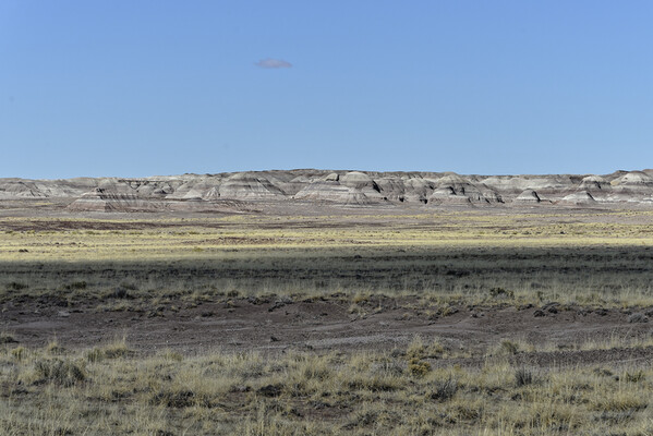 Beauty Abounds on This 10-Acre Piece of the Painted Desert!