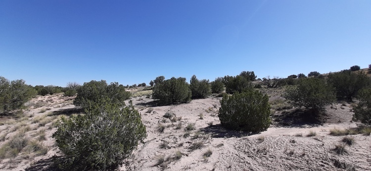 The World is Your Oyster on 1.16-Acres in Apache AZ!