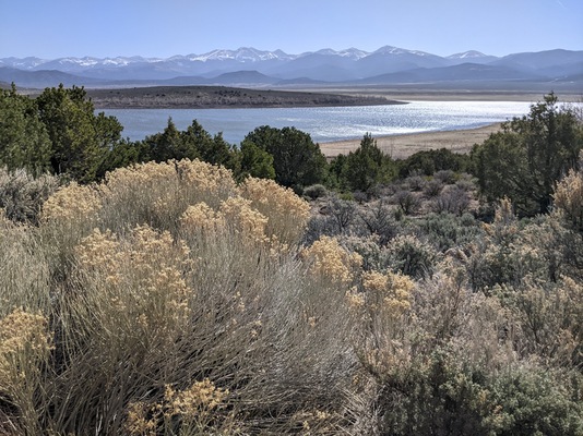 THIS WATERFRONT PROPERTY MAKES YOU WANT TO GET OUT OF BED!