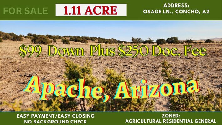 No Time Limit for Camping on This 1.11 acre Concho, AZ Land!