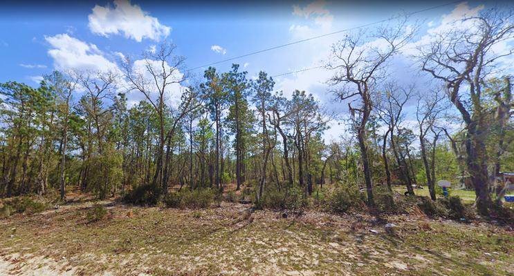 Planting Prosperity: 0.23 Acre Enchanting Putnam County, FL!