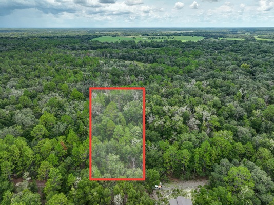 Prime Dunnellon Land: Steps to Nature & Rental Income!