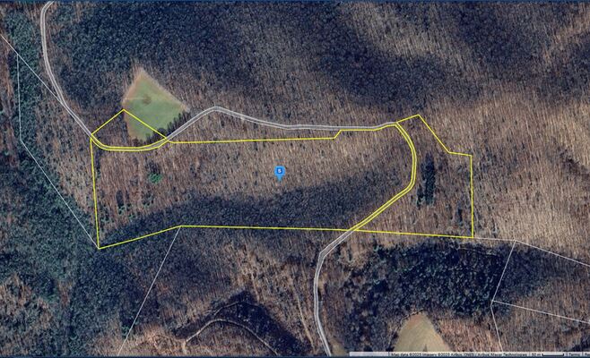 55 Acres For Sale in Pocahontas County West Virginia!