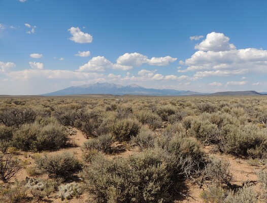 4.93 Acres with No HOA & Big Views For $169 Monthly