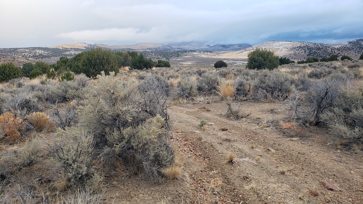 Own Nevada's Outback! 1.14 acres Only 10 min from Elko!