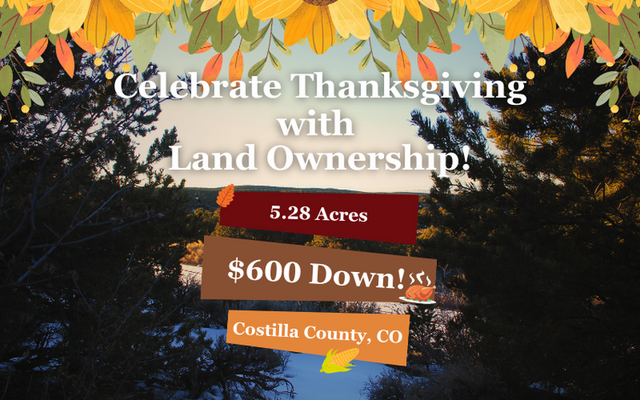 Costilla, CO: Lush Land with Vibrant Flora <del>$1200</del> $600 Down!