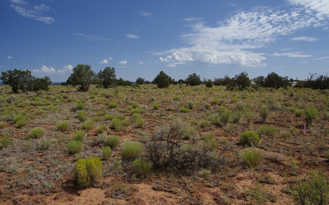 Own Land in The Grand Canyon's Backyard for Only $279 Down!