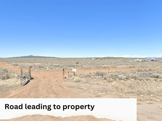 0.25 Acre Lot in Taos County, NM with No Zoning! - $75/month