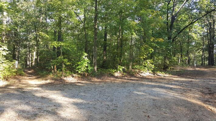 0.31 Acre of Happiness in Izard County- $80/Mo!