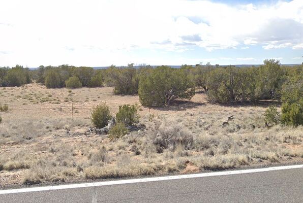 Concho, AZ: 1.06 Acres for Only $90/Mo—Easy Owner Financing!