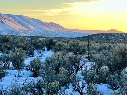 Own Your Dream Desert Property - 1.03 Acres Near Elko, NV