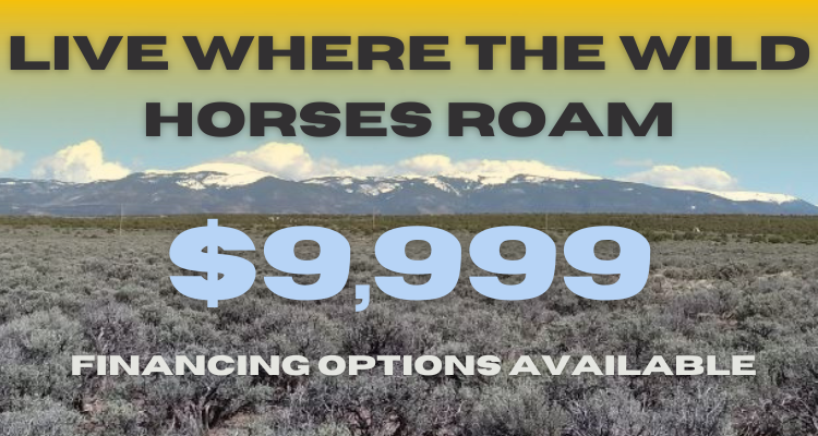 5 Acres in Wild Horse Mesa: Rugged Beauty, Off-Grid Living