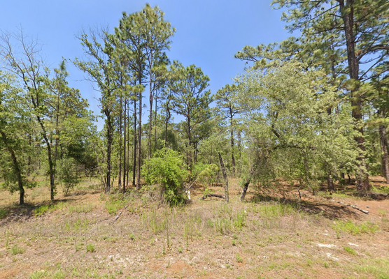 Dream, Build, and Grow - Own 0.24 Acre Lot in Dunnellon, FL!