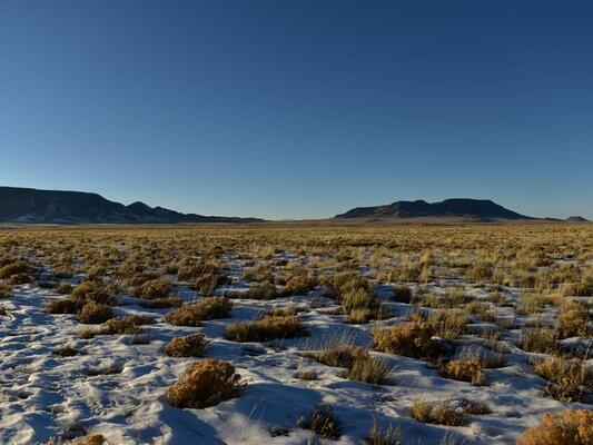 ESCAPE TO 4.6 BEAUTIFUL ACRES IN CO