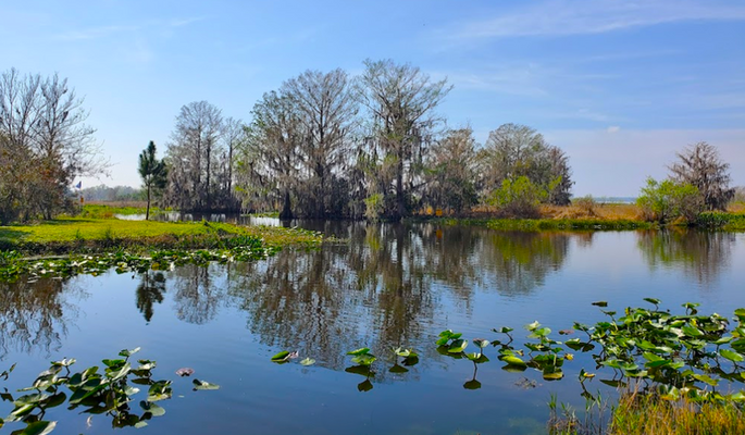 Florida Bliss: 0.22 Acres in FL with Financing at $194/mo!