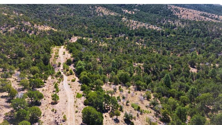 Mountain Serenity: 0.5-Acre Retreat in Timberon, NM