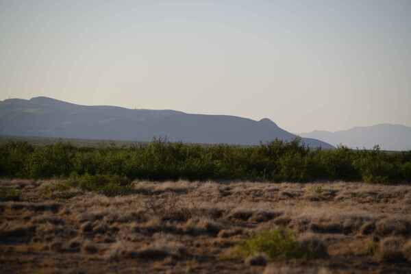 Why Rent Land? Own 0.50 Acres in NM for $59 Down!