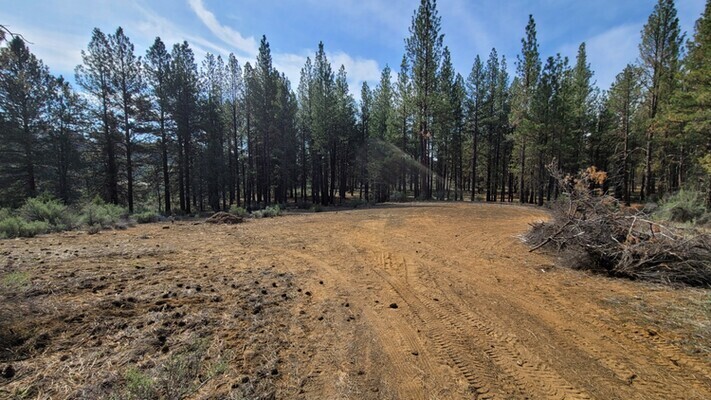 Your Ticket to Woodland Paradise! 2.28 Acres in Klamath, OR