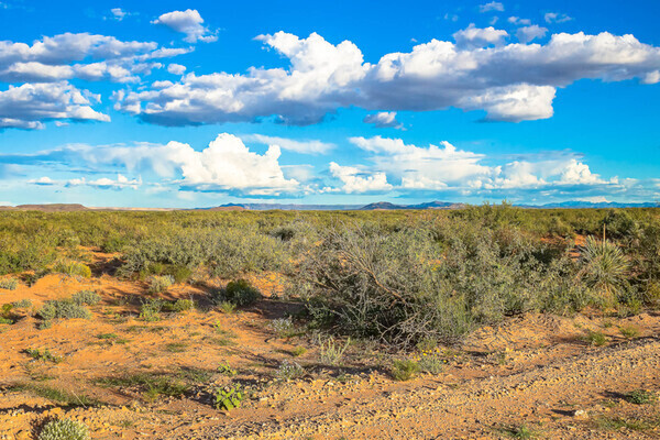 Home on the Texas Ranchette - $125/mo