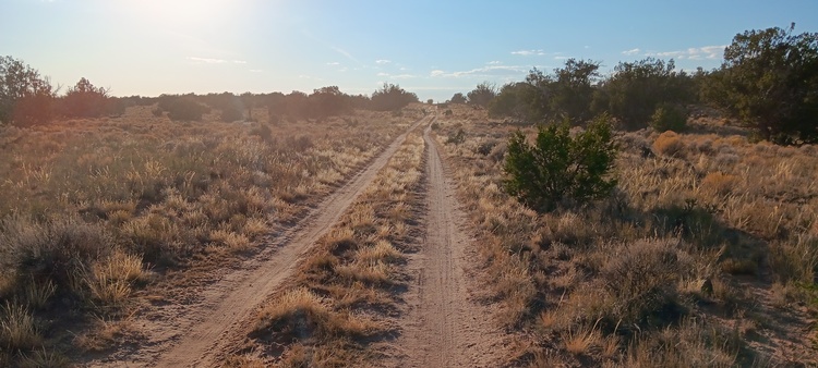 SALE!!! 2.47 Acres near Sanders AZ $10 Down!!