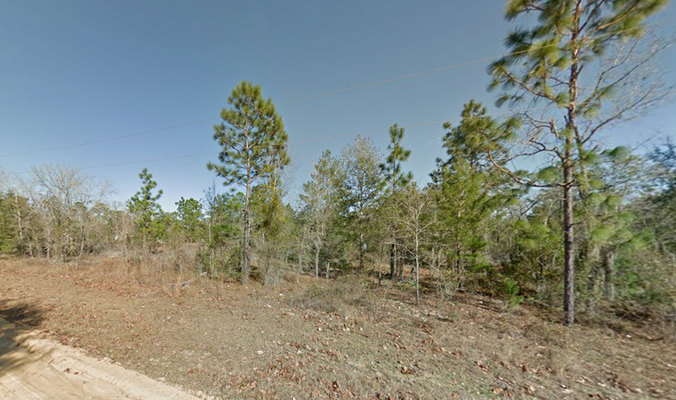 Begin Your Land Ownership Today with 0.23 Interlachen, FL!