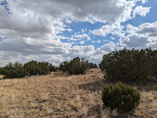 Step into a Serene Apache County, AZ Oasis 1.32 AC; $150/mo.