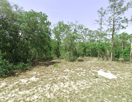 Perfectly Positioned for Solar! 0.21 Acres in FL $159/Mo