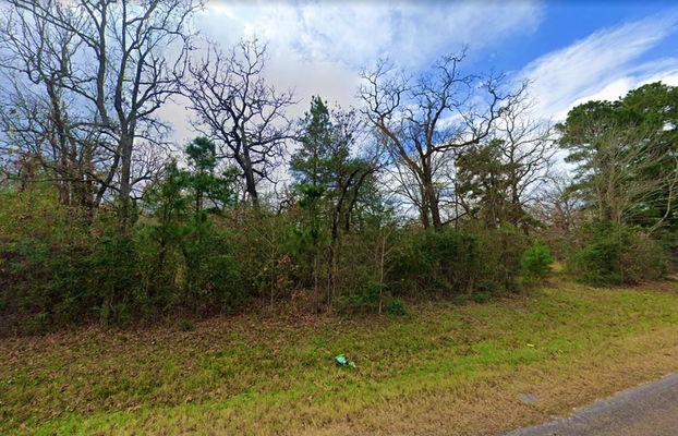 0.16 Acre in Harleton, Texas (only $200 a month)