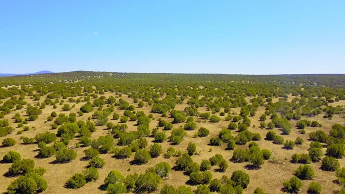  Revel in Unparalleled Freedom on 1.33 Acres in Navajo County, AZ! Only $100 Monthly 