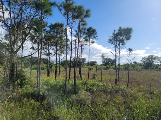 Build Homes on Our Spectacular Okeechobee Land with Power and Water Utilities Available!