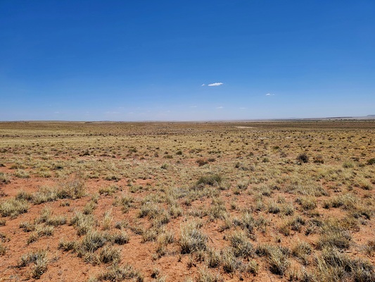 Go west, young man. Buy these 1.25 acres in Navajo County, AZ! Only $62/Mo