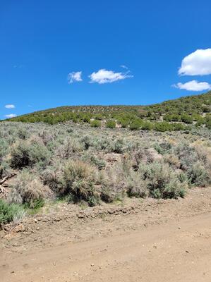 5.5 Acres with Amazing Views of the Colorado Mountains