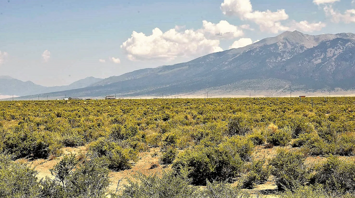 Alamosa, CO is here for you with this beautiful 5.43-Acre Paradise.