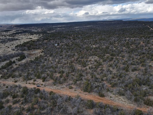 Quiet and Secluded, Pinon Pines and Meadows