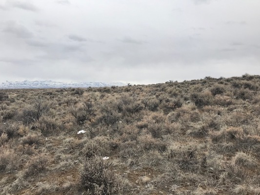 Discover 10 Acres near Peko Hills, NV