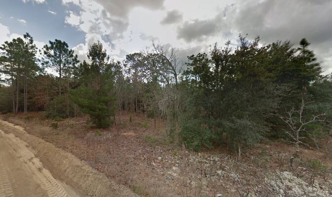 Invest Today! 0.23 Acre is Waiting for You in Putnam, FL!