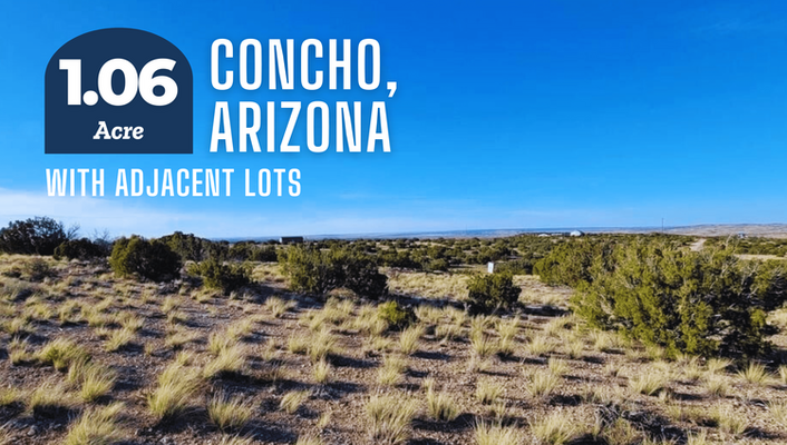 Sow Your Future! 1 Acre In Concho, AZ @$145/MO!